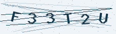 Six-character security code